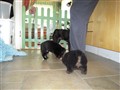 20090707 008.JPG