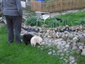 20100531 046.JPG