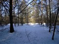 vinterprom o räv 5 mars 10 039.JPG