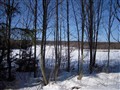 vinterprom o räv 5 mars 10 054.JPG